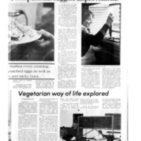 Vegetarian Food